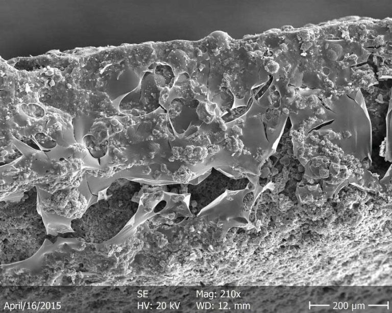 Microscopic detail from the chimney stack